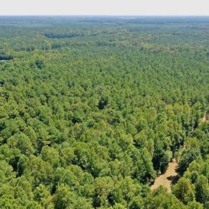 Photo #22 of SOLD property in Off Jackson Bypass, Garysburg, NC 49.9 acres