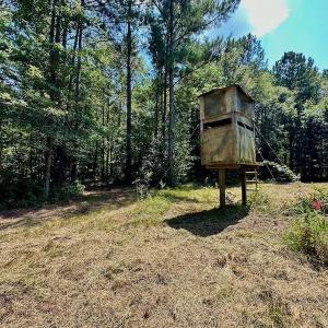Photo #23 of SOLD property in Off Jackson Bypass, Garysburg, NC 49.9 acres