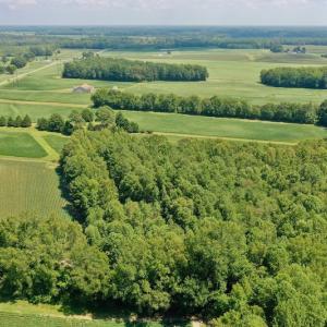 Photo #24 of SOLD property in Off Jackson Bypass, Garysburg, NC 49.9 acres