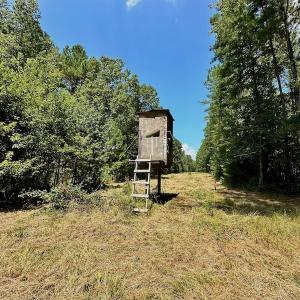 Photo #25 of SOLD property in Off Jackson Bypass, Garysburg, NC 49.9 acres