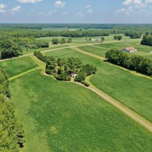 Photo #26 of SOLD property in Off Jackson Bypass, Garysburg, NC 49.9 acres