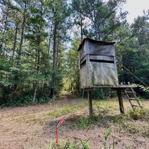 Photo #27 of SOLD property in Off Jackson Bypass, Garysburg, NC 49.9 acres