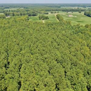 Photo #28 of SOLD property in Off Jackson Bypass, Garysburg, NC 49.9 acres