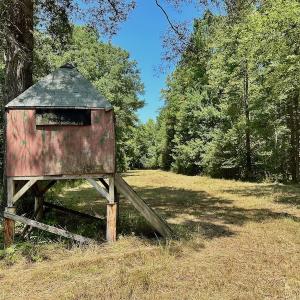Photo #29 of SOLD property in Off Jackson Bypass, Garysburg, NC 49.9 acres