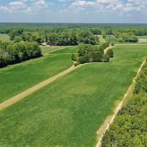 Photo #30 of SOLD property in Off Jackson Bypass, Garysburg, NC 49.9 acres