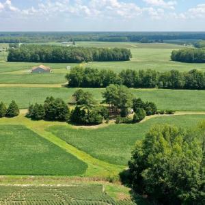 Photo #4 of SOLD property in Off Jackson Bypass, Garysburg, NC 49.9 acres