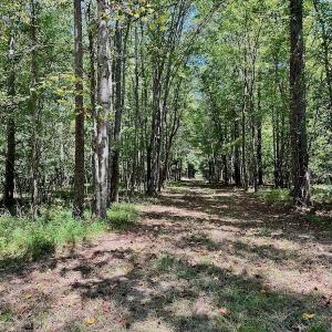 Photo #31 of SOLD property in Off Jackson Bypass, Garysburg, NC 49.9 acres