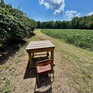 Photo #33 of SOLD property in Off Jackson Bypass, Garysburg, NC 49.9 acres