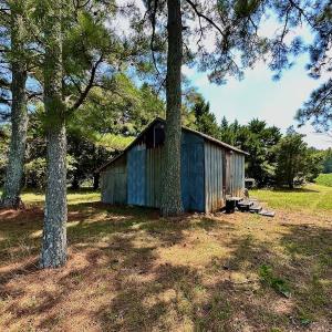 Photo #35 of SOLD property in Off Jackson Bypass, Garysburg, NC 49.9 acres