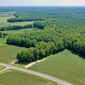 Photo #36 of SOLD property in Off Jackson Bypass, Garysburg, NC 49.9 acres