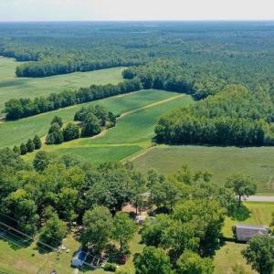 Photo #38 of SOLD property in Off Jackson Bypass, Garysburg, NC 49.9 acres