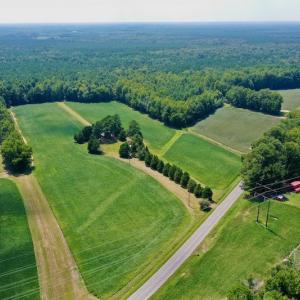 Photo #39 of SOLD property in Off Jackson Bypass, Garysburg, NC 49.9 acres