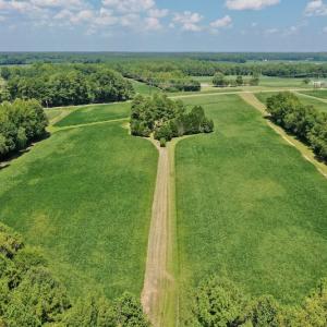 Photo #6 of SOLD property in Off Jackson Bypass, Garysburg, NC 49.9 acres