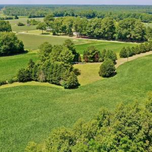 Photo #8 of SOLD property in Off Jackson Bypass, Garysburg, NC 49.9 acres