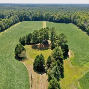 Photo #10 of SOLD property in Off Jackson Bypass, Garysburg, NC 49.9 acres