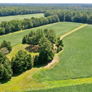 Photo #40 of SOLD property in Off Jackson Bypass, Garysburg, NC 49.9 acres