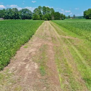 Photo #43 of SOLD property in Off Jackson Bypass, Garysburg, NC 49.9 acres