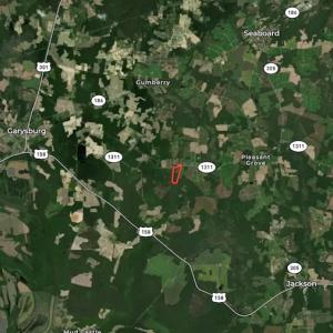 Photo #50 of SOLD property in Off Jackson Bypass, Garysburg, NC 49.9 acres
