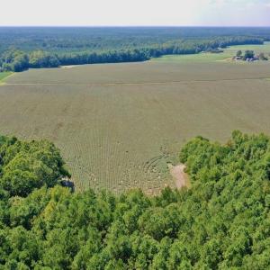 Photo #2 of SOLD property in Off Hargrave Rd, Jackson, NC 41.0 acres