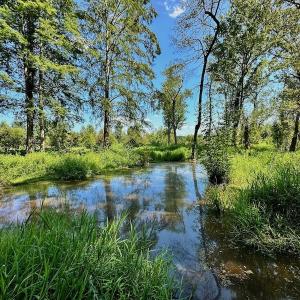 Photo #23 of SOLD property in Off Hargrave Rd, Jackson, NC 41.0 acres