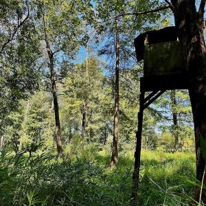 Photo #27 of SOLD property in Off Hargrave Rd, Jackson, NC 41.0 acres