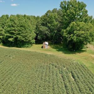 Photo #34 of SOLD property in Off Hargrave Rd, Jackson, NC 41.0 acres