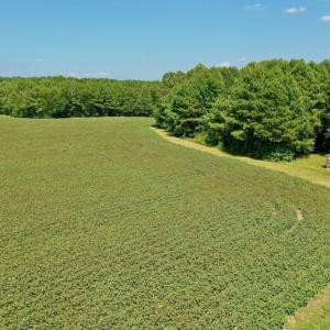 Photo #36 of SOLD property in Off Hargrave Rd, Jackson, NC 41.0 acres