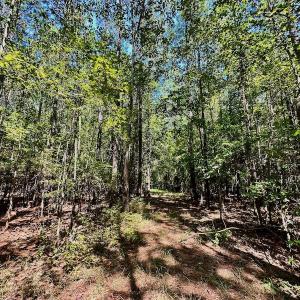 Photo #37 of SOLD property in Off Hargrave Rd, Jackson, NC 41.0 acres