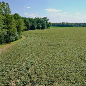 Photo #38 of SOLD property in Off Hargrave Rd, Jackson, NC 41.0 acres