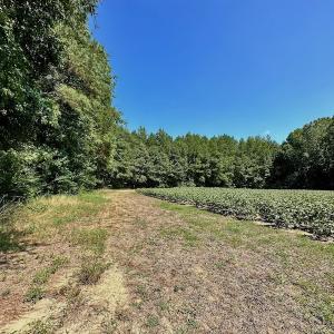 Photo #9 of SOLD property in Off Hargrave Rd, Jackson, NC 41.0 acres