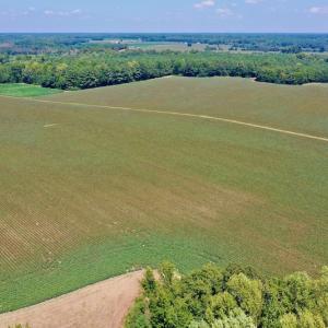Photo #10 of SOLD property in Off Hargrave Rd, Jackson, NC 41.0 acres
