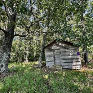 Photo #45 of SOLD property in Off Hargrave Rd, Jackson, NC 41.0 acres