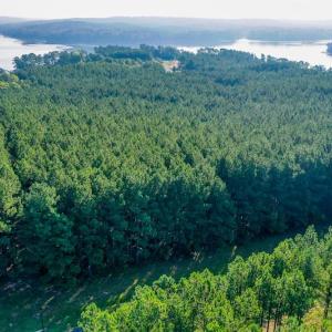 Photo #2 of SOLD property in Off Spencer Pointe Road, Lilesville, NC 2.0 acres