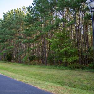 Photo #5 of SOLD property in Off Spencer Pointe Road, Lilesville, NC 2.0 acres