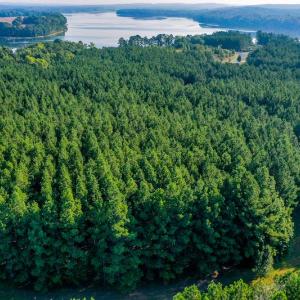 Photo #2 of SOLD property in Off Spencer Pointe Road, Lilesville, NC 2.0 acres