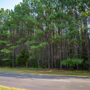Photo #3 of SOLD property in Off Spencer Pointe Road, Lilesville, NC 2.0 acres