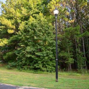 Photo #4 of SOLD property in Off Spencer Pointe Road, Lilesville, NC 2.0 acres