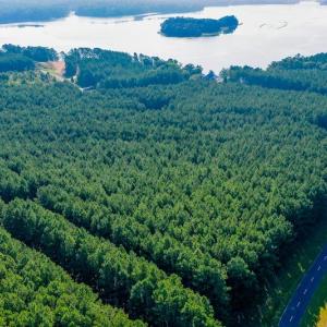 Photo #9 of SOLD property in Off Spencer Pointe Road, Lilesville, NC 2.0 acres