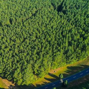 Photo #4 of SOLD property in Off Spencer Pointe Road, Lilesville, NC 2.0 acres