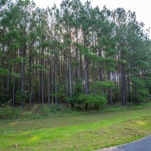 Photo #5 of SOLD property in Off Spencer Pointe Road, Lilesville, NC 2.0 acres