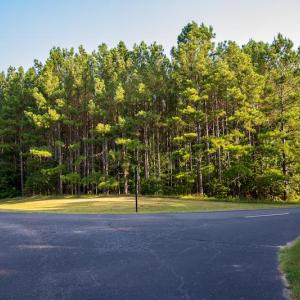 Photo #7 of SOLD property in Off Spencer Pointe Road, Lilesville, NC 2.0 acres