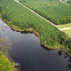 Photo #3 of SOLD property in Off Ridge Rd , Jarratt, VA 13.0 acres