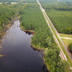 Photo #5 of SOLD property in Off Ridge Rd , Jarratt, VA 13.0 acres