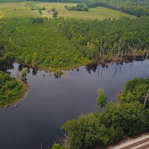 Photo #6 of SOLD property in Off Ridge Rd , Jarratt, VA 13.0 acres
