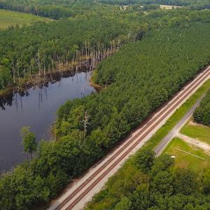Photo #7 of SOLD property in Off Ridge Rd , Jarratt, VA 13.0 acres