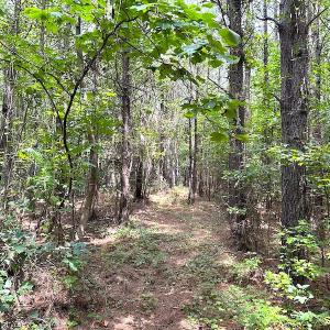 Photo #30 of SOLD property in Off Ridge Rd , Jarratt, VA 13.0 acres