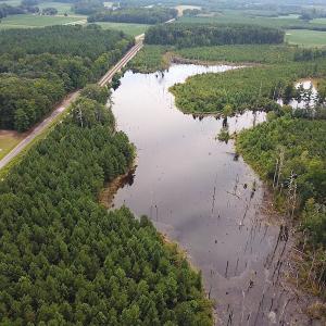 Photo #8 of SOLD property in Off Ridge Rd , Jarratt, VA 13.0 acres