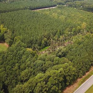 Photo #2 of SOLD property in Off Blue Star Highway , Jarratt, VA 10.0 acres