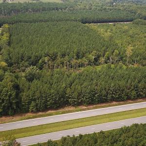 Photo #3 of SOLD property in Off Blue Star Highway , Jarratt, VA 10.0 acres