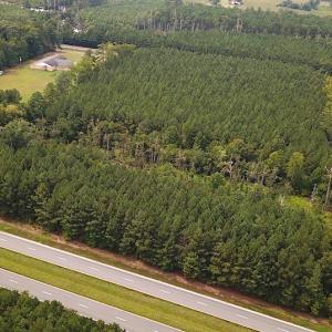 Photo #4 of SOLD property in Off Blue Star Highway , Jarratt, VA 10.0 acres